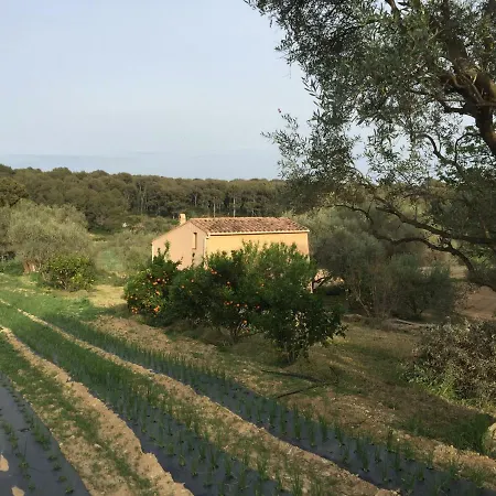 A La Mer Et A La Campagne *